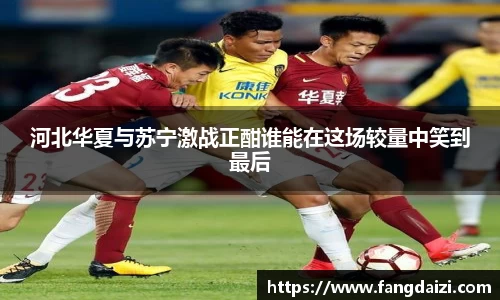 bsports官网入口