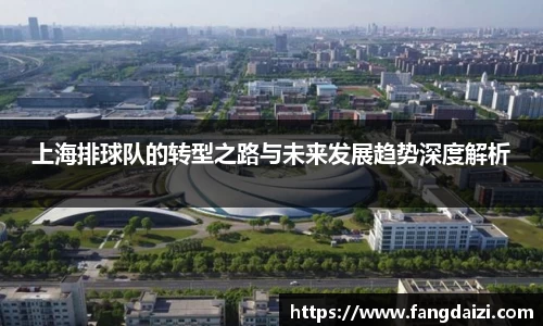 上海排球队的转型之路与未来发展趋势深度解析